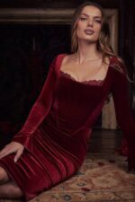 House of CB одећу 68JT338 солаине вине баршунаста корсет хаљина - Image 2